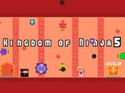 Play Kingdom of Ninja 5