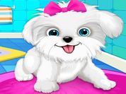 Puppy: Pet Salon & Dog Daycare