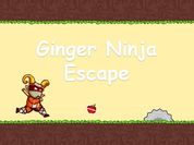 Play Ginger Ninja Escape
