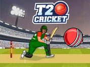 Play T20 Cricket