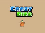 Play Crazy Bird