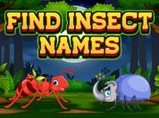 Find Insect Names