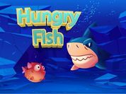 Play Hungry Fish