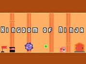Play Kingdom of Ninja
