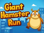 Giant Hamster Run