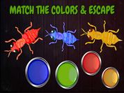 Play Ants: Tap Tap Color Ants