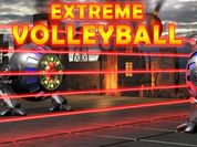 Play Extreme Volleyball