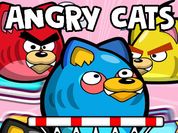 Play Angry Cats