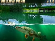 Play Willow Pond