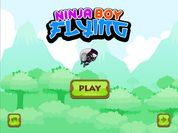 Play Ninja flying boy