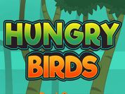 Hungry Bird