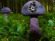 Play Mushroom Forest Adventure