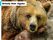 Play Grizzly Bear Jigsaw