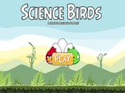 Play Science Birds