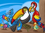 Play Exotic Birds Coloring
