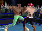 Play Real Boxing Fighting Game