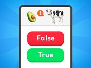 Play True False - Quiz