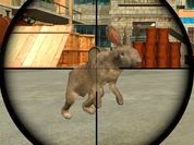 Play Rabbit Shooter