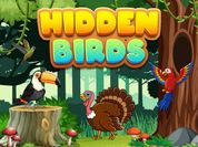 Play Hidden Birds