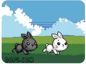 Play Bu Bunny Two Rabbit