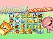 Play Animal Connection