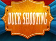 Play DuckShooting