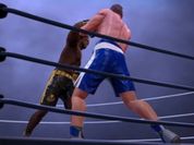 Play Ultimate Boxing - The Boxing King
