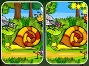 Play Insects Photo Differences