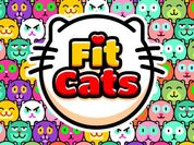 Play Fit Cats