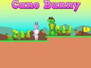 Play Cano Bunny
