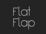 Play Flat Flapp