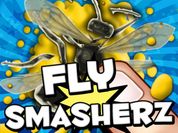Play Fly SmasherZ