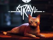 Play Stray